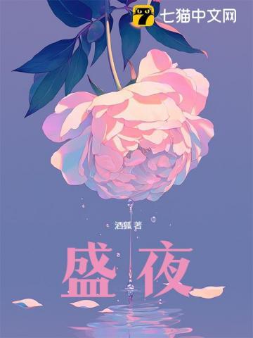 盛夜酒吧