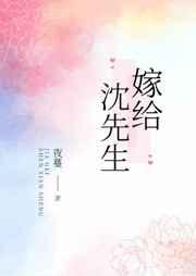 嫁给沈先生的第八个年头txt