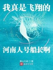 我真是飞翔的河南人号船长啊最新章节免费阅读