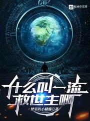 什么叫一流救世主啊起点