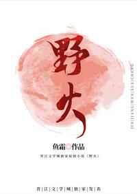 野火春风斗古城简介