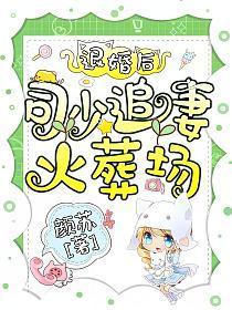 退婚后司少追妻火葬场免费阅读