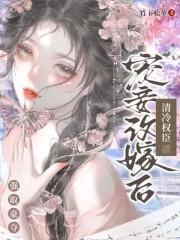 宠妾为后清风不换晋江