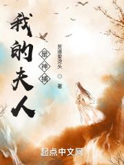 我的夫人是神捕女主