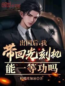 出国后我带回光刻机能一等功吗txt