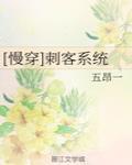 慢穿刺客系统明光红甘泉