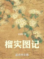 榴实图记评价