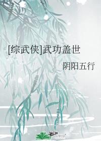 综武侠武功盖世阴阳五行