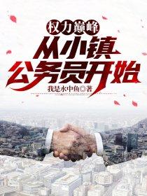 权力巅峰全文免费阅读正版