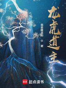 龙虎道主我是瞎混的百科