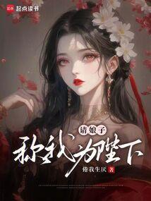 请娘子安全文免费阅读