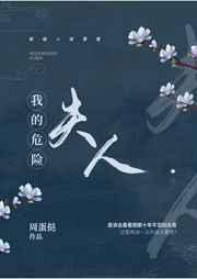 我的危险夫人结局是什么
