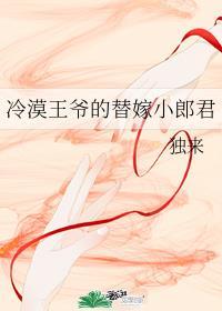 冷漠王爷的替嫁小郎君晋江