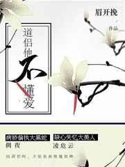 道侣他不懂爱免费阅读