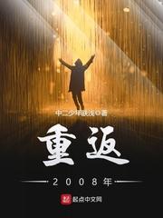 重返2008年全文阅读