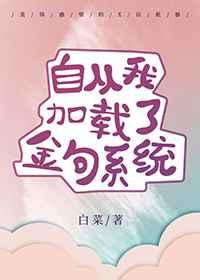 自从我加载了金句系统晋江