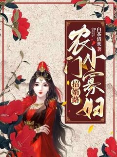 农门小寡妇招婿路电影