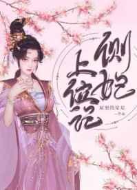 侧妃上位记全文