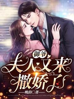 您家夫人又掉马甲了作者 酸奶落落