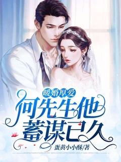 暖婚厚爱何先生他蓄谋已久