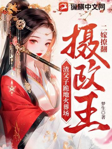 二嫁全文