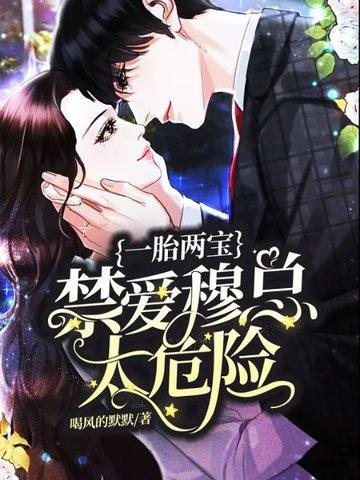 一胎双宝慕少凌大结局