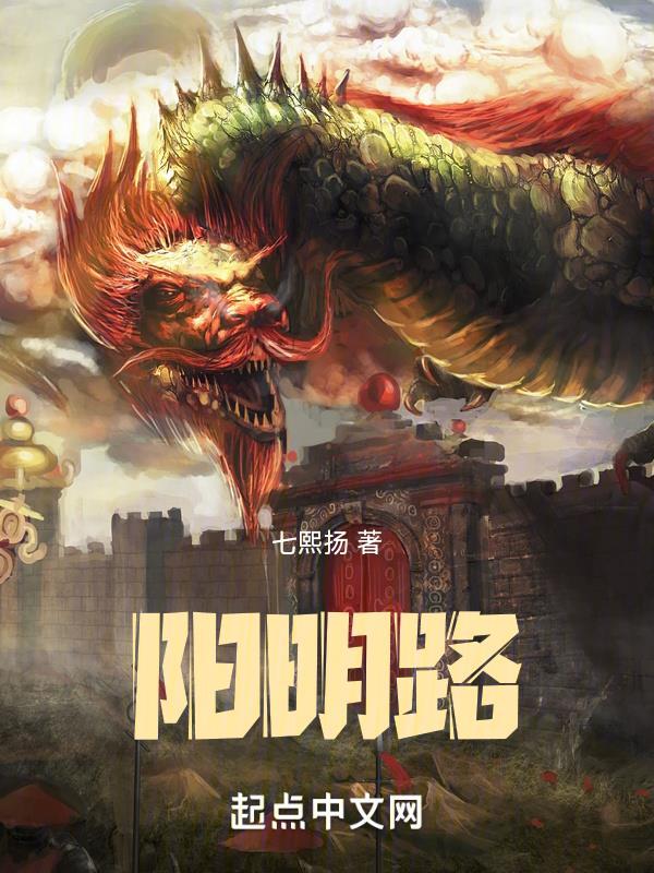 阳明路是哪个区