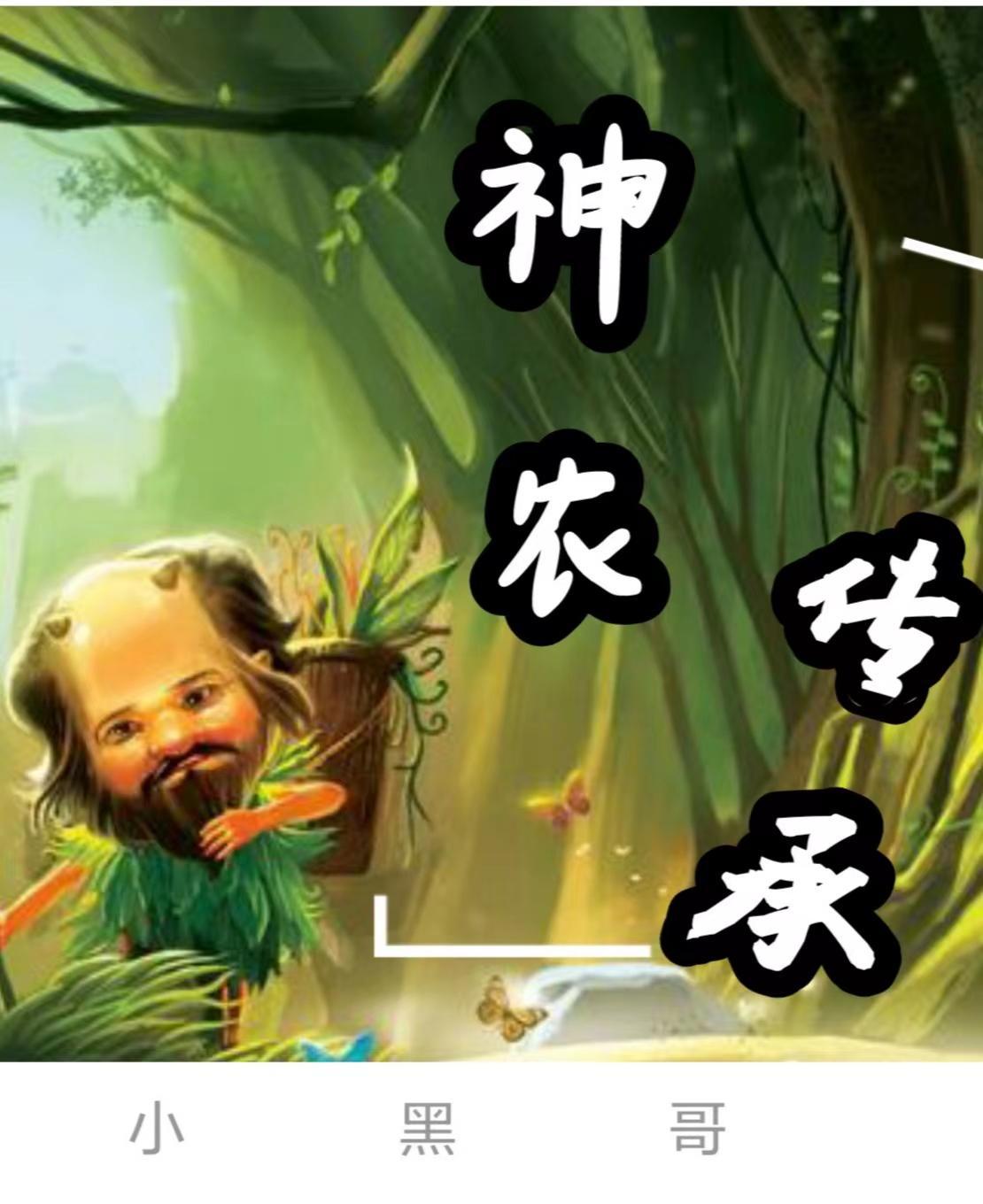神农传承林大伟最新章节列表