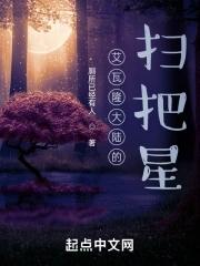 阿艾瓦隆怎么玩