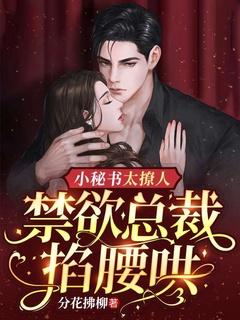禁欲总裁特会撩一米小白