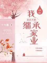 我真的不想继承家业机甲