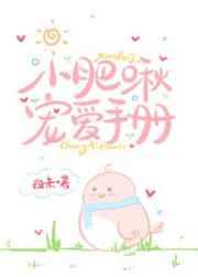 小肥啾宠爱手册阅读格格党
