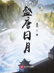 盛唐日月结局是什么意思