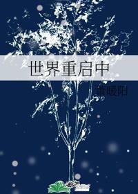 世界重启中萧暖阳