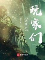 大唐的玩家们校对版