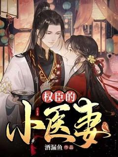 权臣的小医妻百度