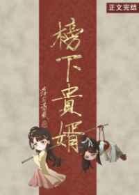 榜下贵婿类似古言