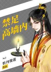禁足高墙内快穿也可以看看