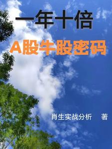 一年十倍的股票策略