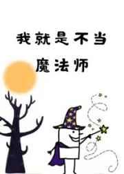 我就是不当魔法师谁是攻