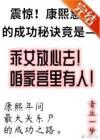 康熙慧妃的躺赢人生晋江