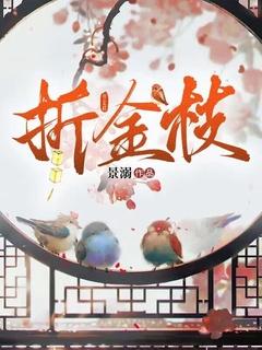 折金枝林起笙全文免费阅读