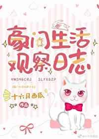 豪门生活观察日志作者