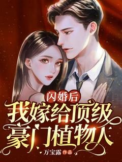 闪婚嫁了个总裁