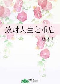 敛财人生之重启du00