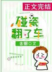 碰瓷翻了车免费阅读无弹窗