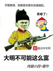 大明不可能这么富TXT免费