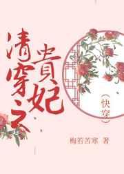 清穿之贵妃(快穿)29