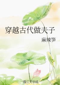 穿越古代做夫子txt盘