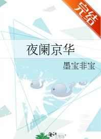 夜阑京华TXT
